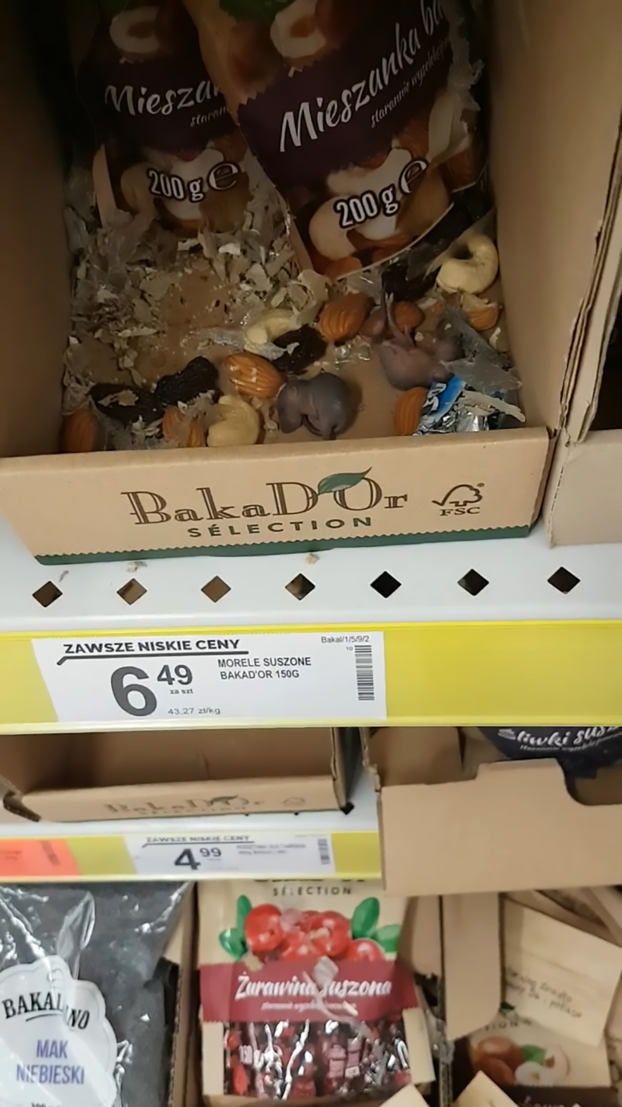 Read more about the article Baby Rats On Sale On Supermarket Shelf