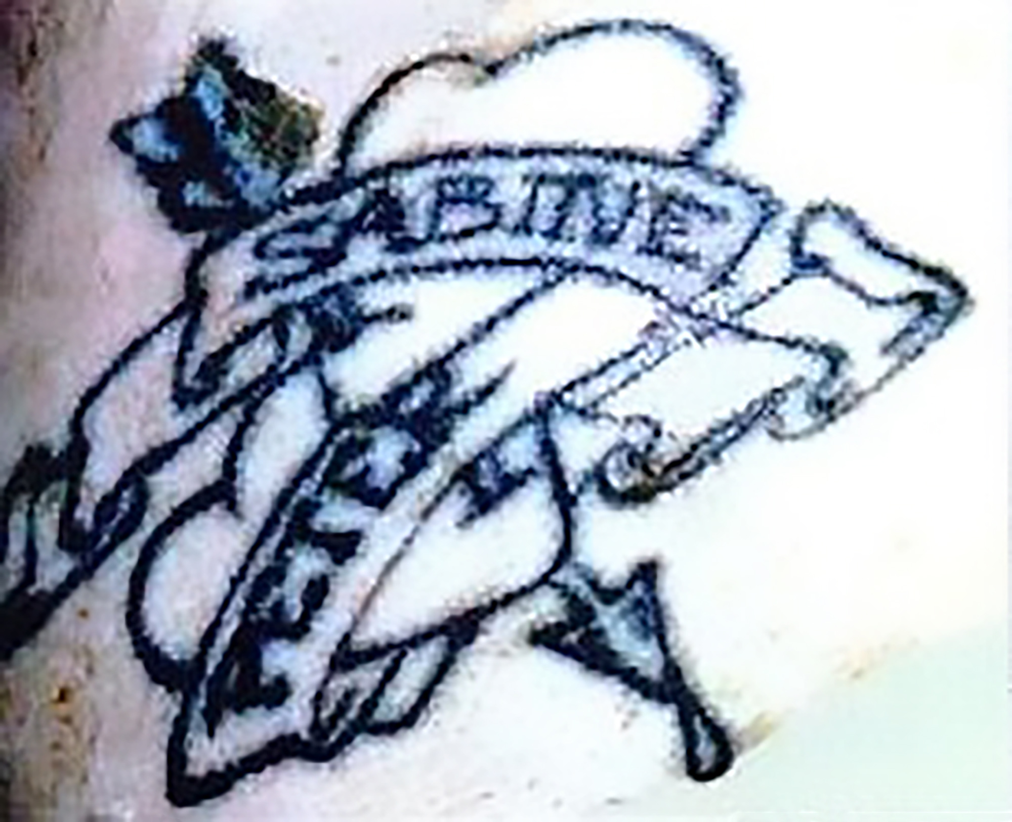 Read more about the article Cops Solve Cold Case With Fresh Appeal To ID Tattoo
