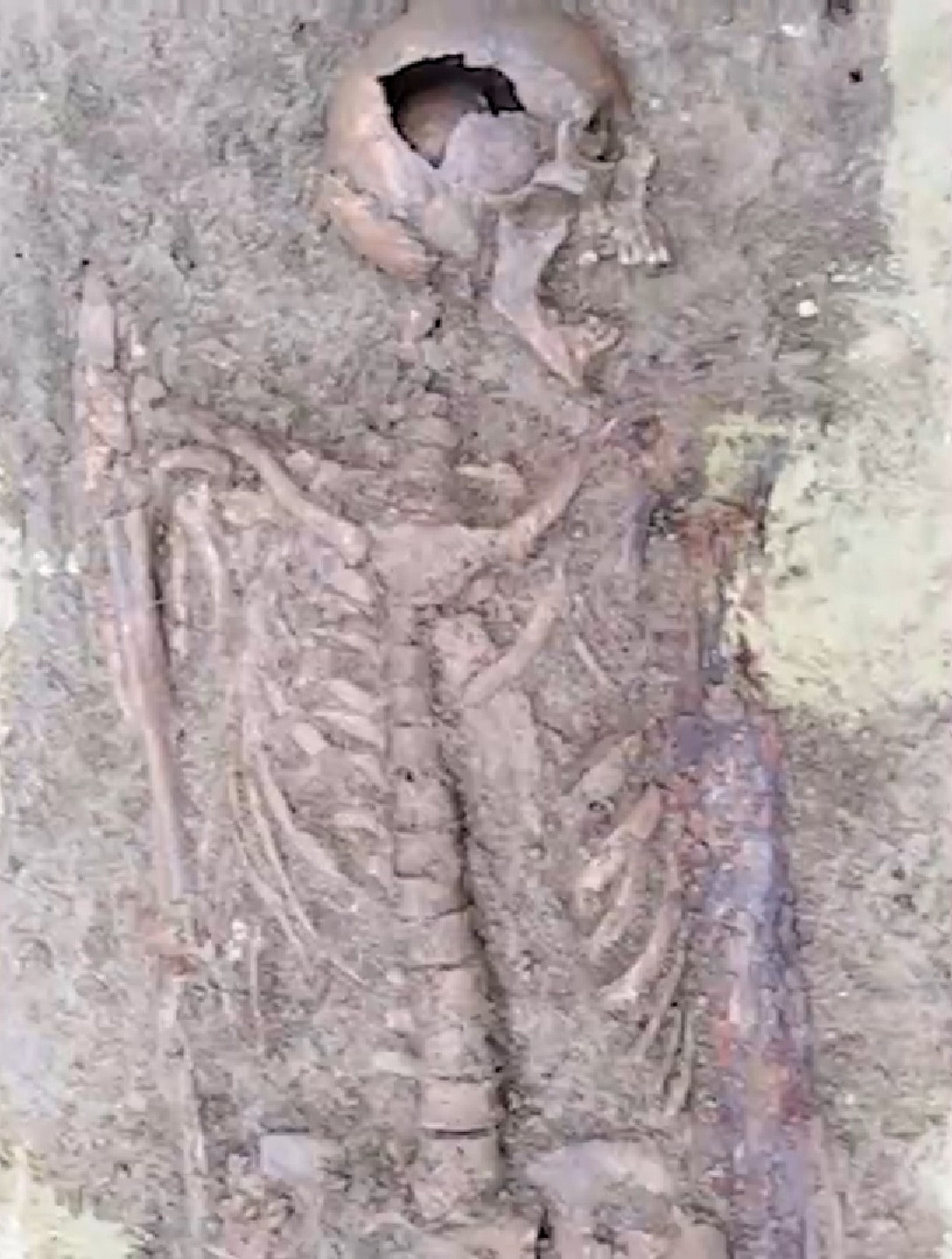Read more about the article 1,500yo Germanic Tribesman Unearthed With Huge Sword