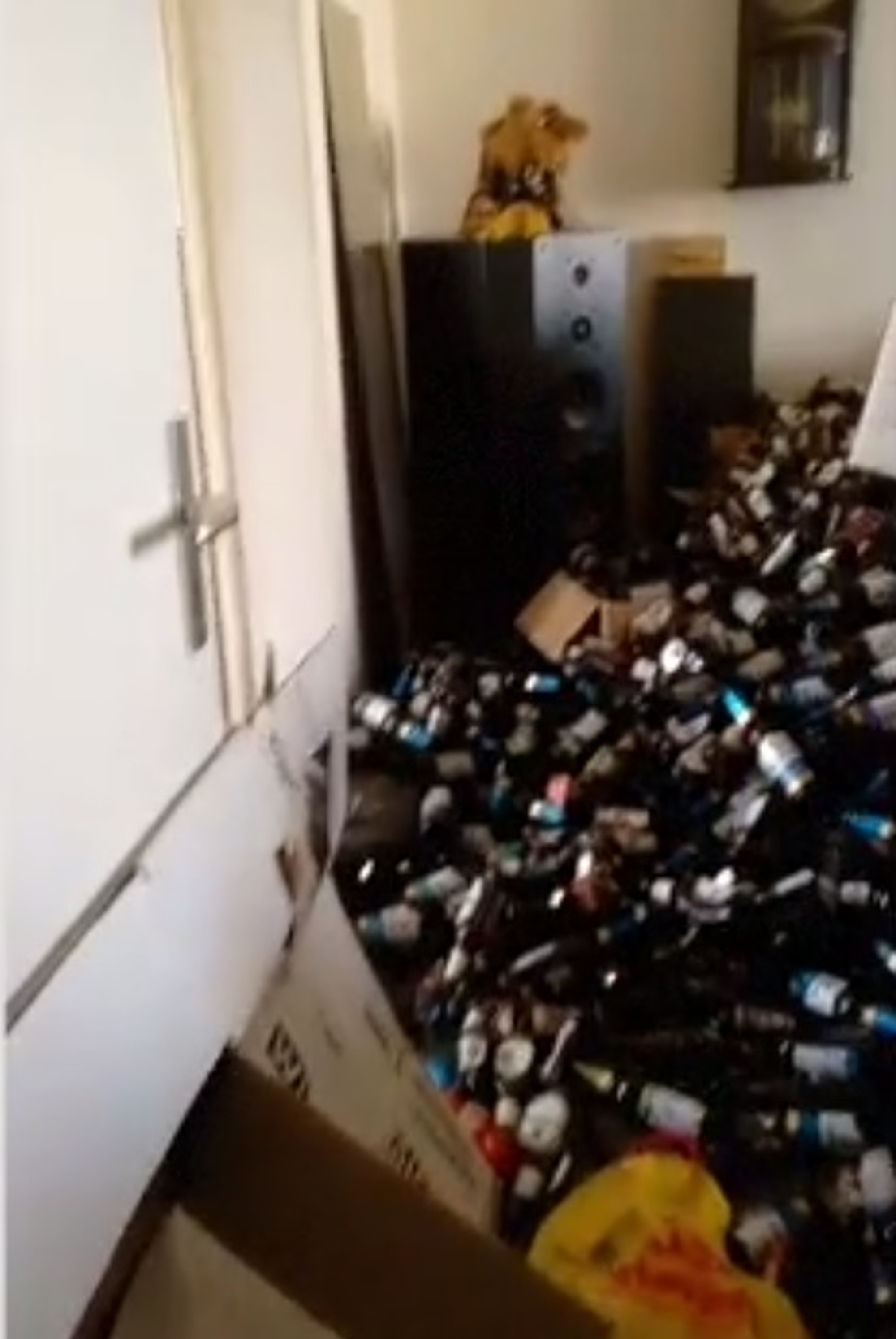 Read more about the article Beer Drinkers Flat Was Filled With 6,500 Empty Bottles
