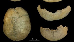 Read more about the article New Study: Stone Age People Were Bloodthirsty Cannibals
