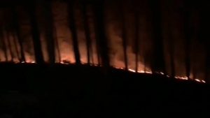 Read more about the article Huge Forest Fire Causes Evacuations