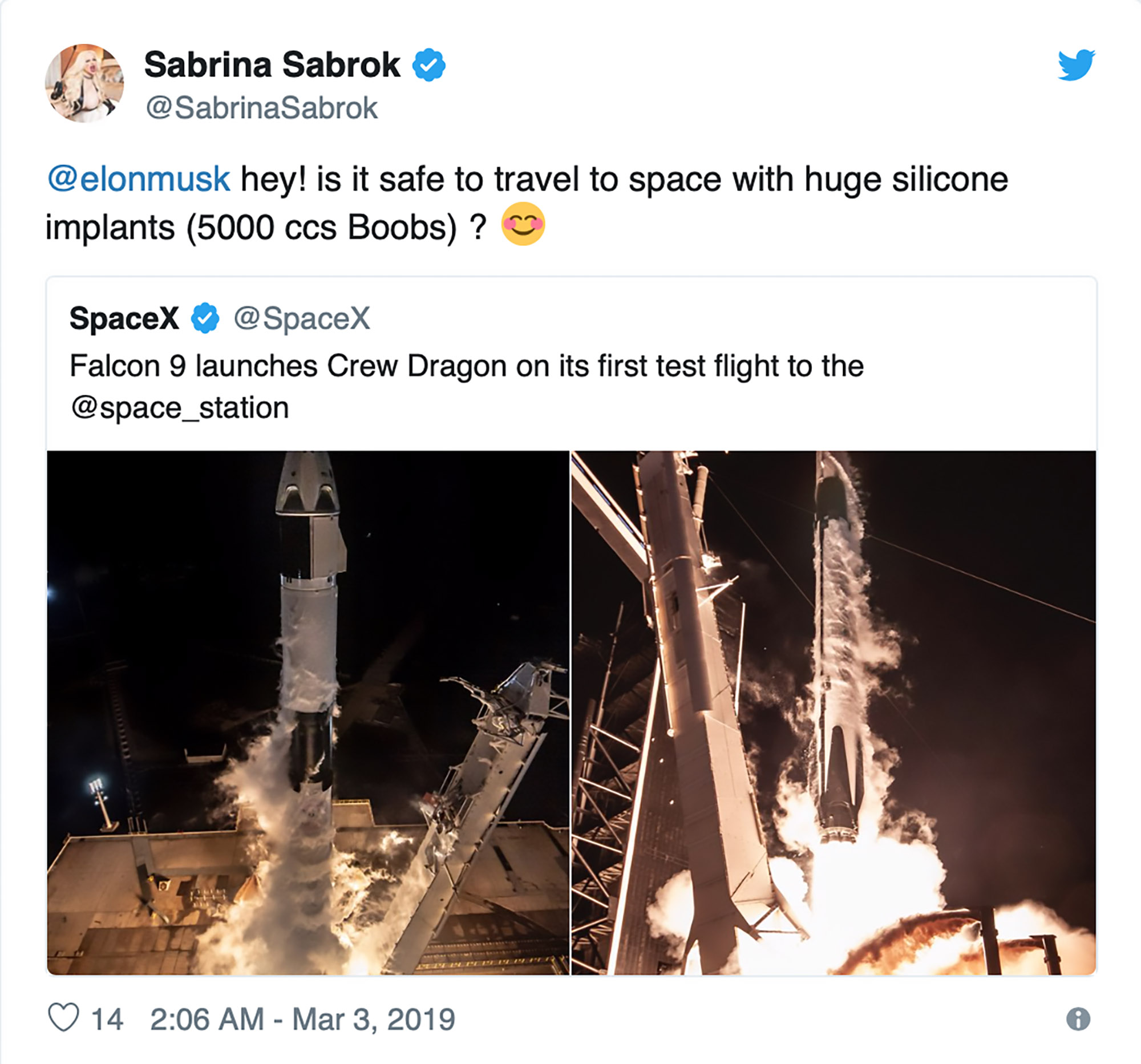 Read more about the article Porn Star Asks Elon Musk If Boobs Safe For Moon Trip