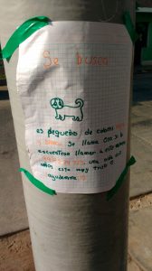 Read more about the article Girl Pins Hand-Drawn Poster Of Missing Dog Around City