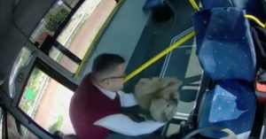 Read more about the article Bus Driver Changes Route To Take Injured Stray To Vets