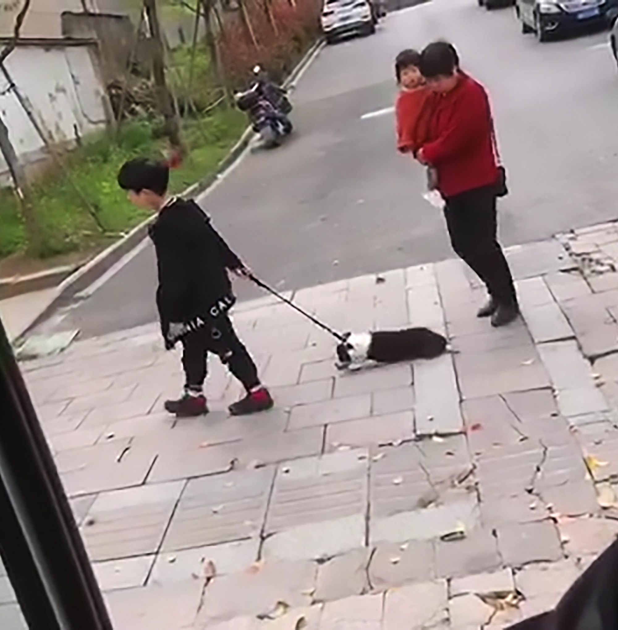 Read more about the article Boy Drags Puppy As Evil Gran Kicks It And Steps On Tail