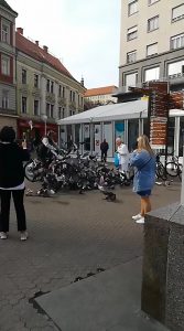 Read more about the article Yob Cycles Over Pigeons Being Fed By Old Lady
