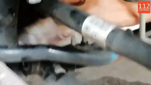 Read more about the article Tiny Kitten Stuck In Car Chassis Rescued By Firefighters