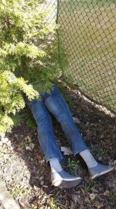 Read more about the article Medics Find Mannequin Legs Under Bush Instead Of Victim