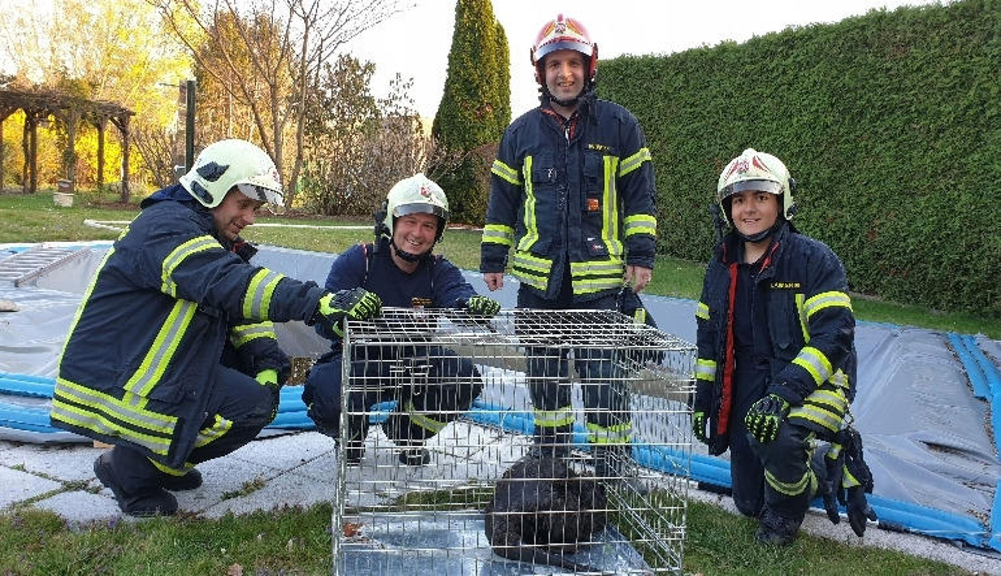 Read more about the article Firefighters Rescue Cute Beaver From Outdoor Pool
