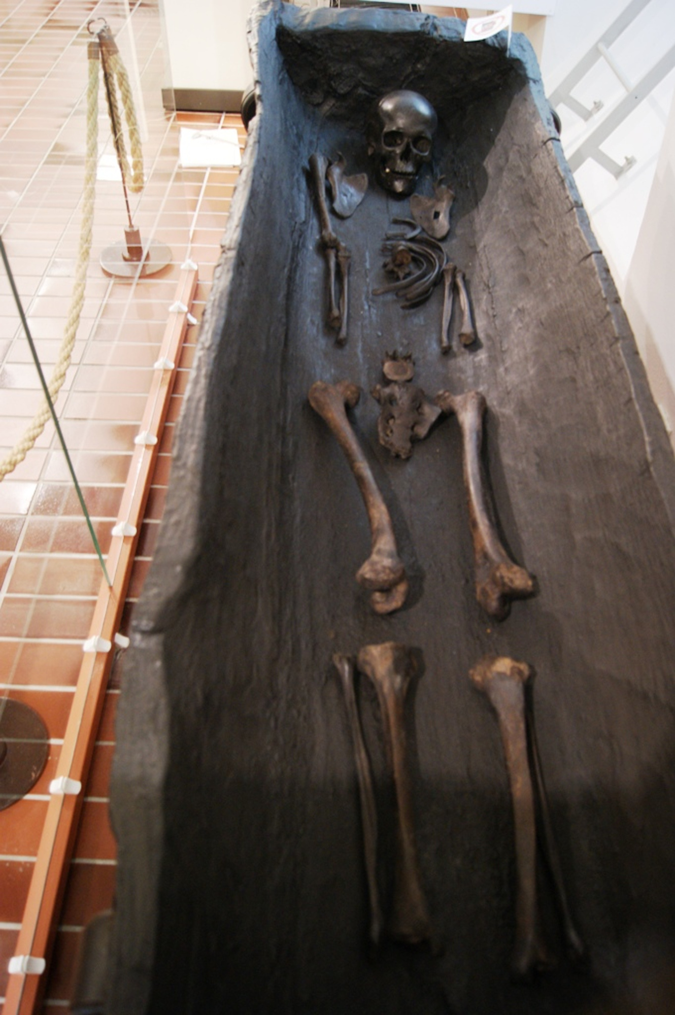 Read more about the article Experts Say Skeleton In Tree Trunk Is 2,000 Years Old