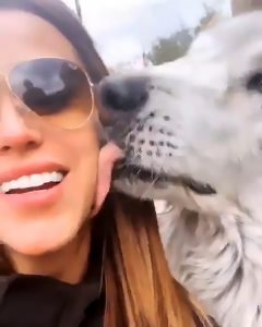Read more about the article Foxy Weather Girl Yanet Garcia Licked By Wolf On Hols