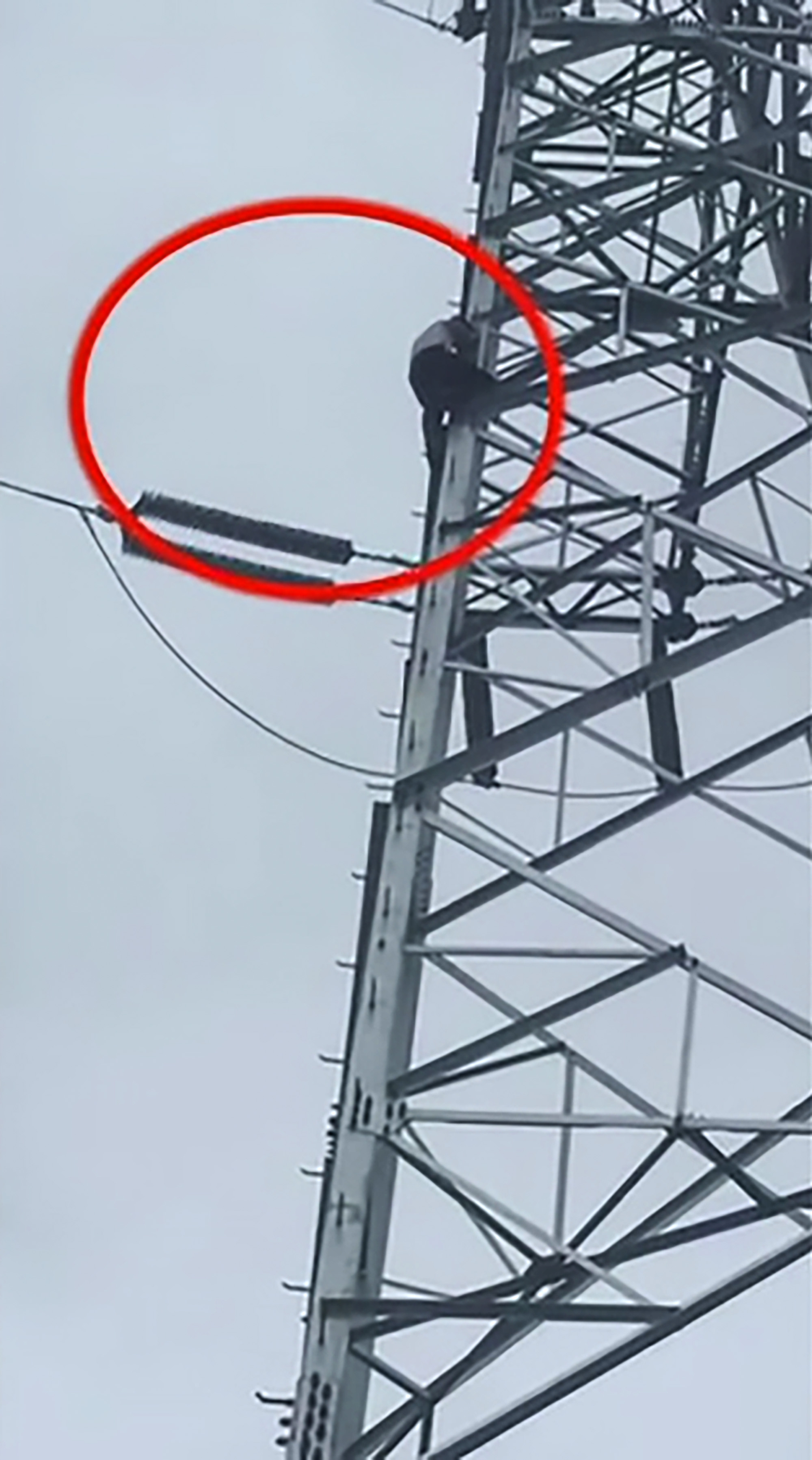 Read more about the article Teen Climbs 130ft Pylon After Dad Says No To New Phone