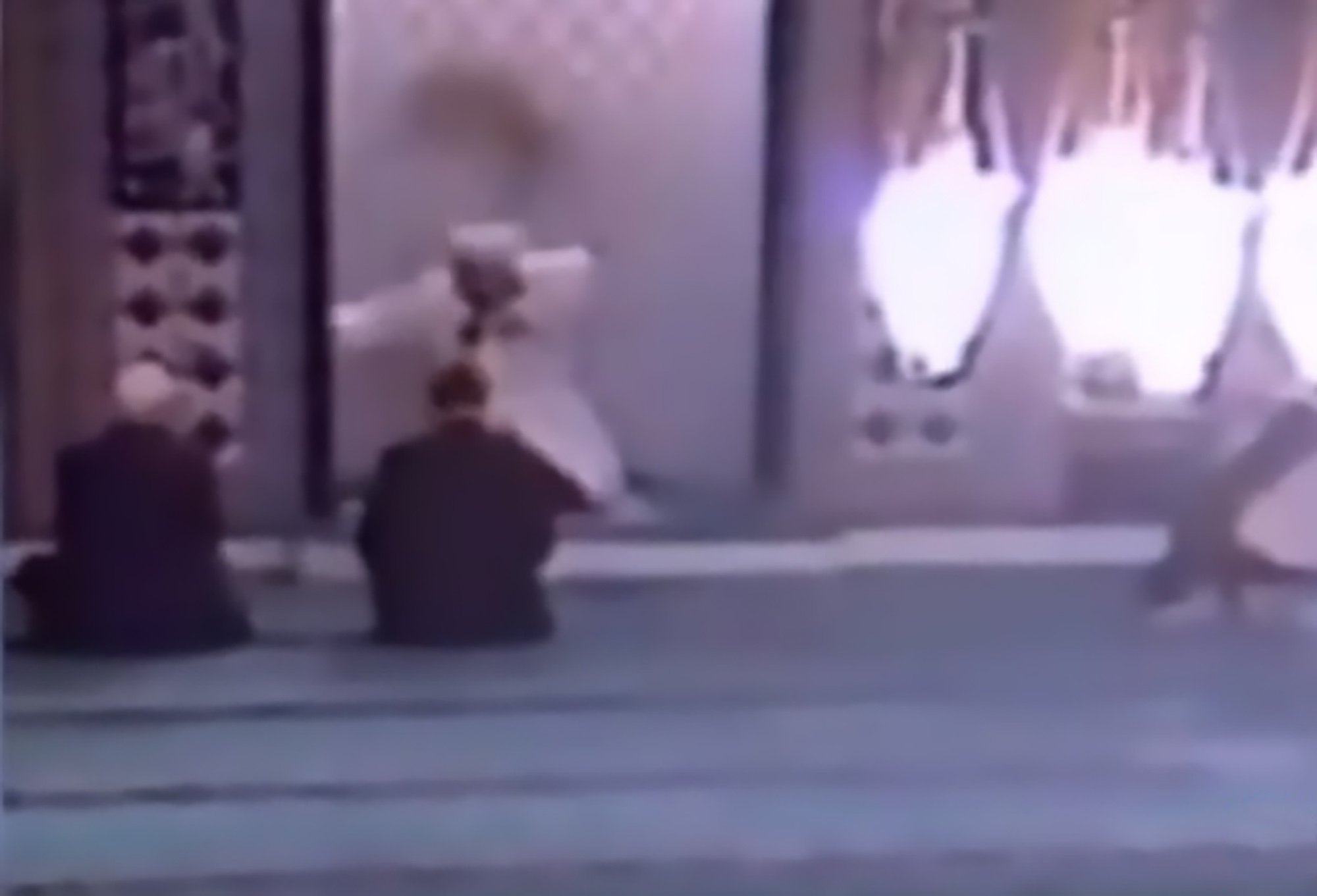 Read more about the article Cat Interrupts Mosque Prayers By Jumping Over Imams Head