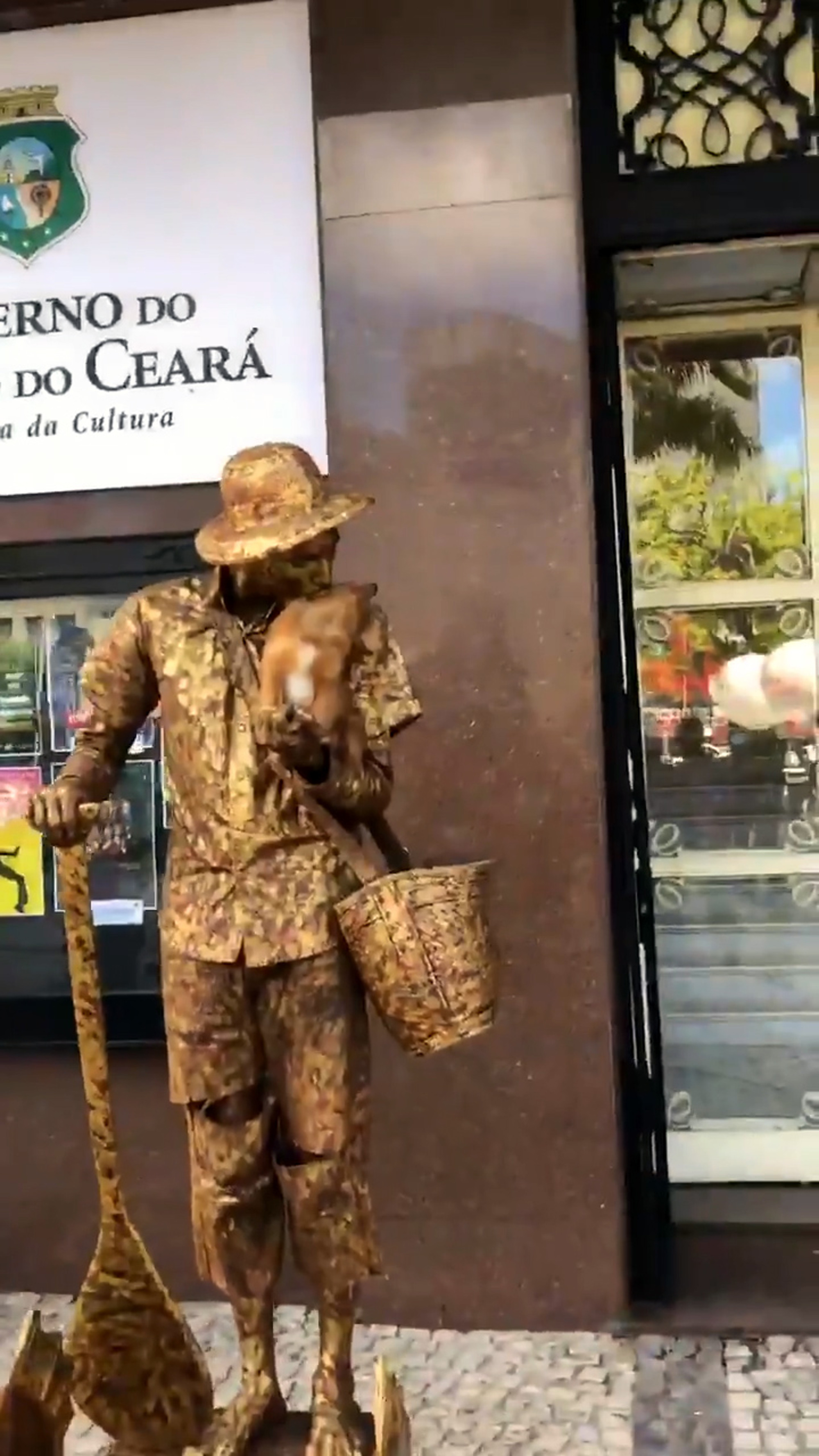 Read more about the article Viral: Dog Plays Statue To Mimic Street Performer Owner