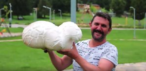 Read more about the article Freakishly Huge 16-lb Mushroom Unearthed By Hiker