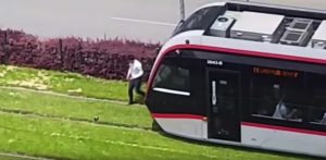 Read more about the article Driver Stops Tram Mid-Route To Help Bird Off Track