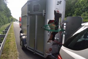 Read more about the article Horse Smashes Through Trailer While Owner On Motorway
