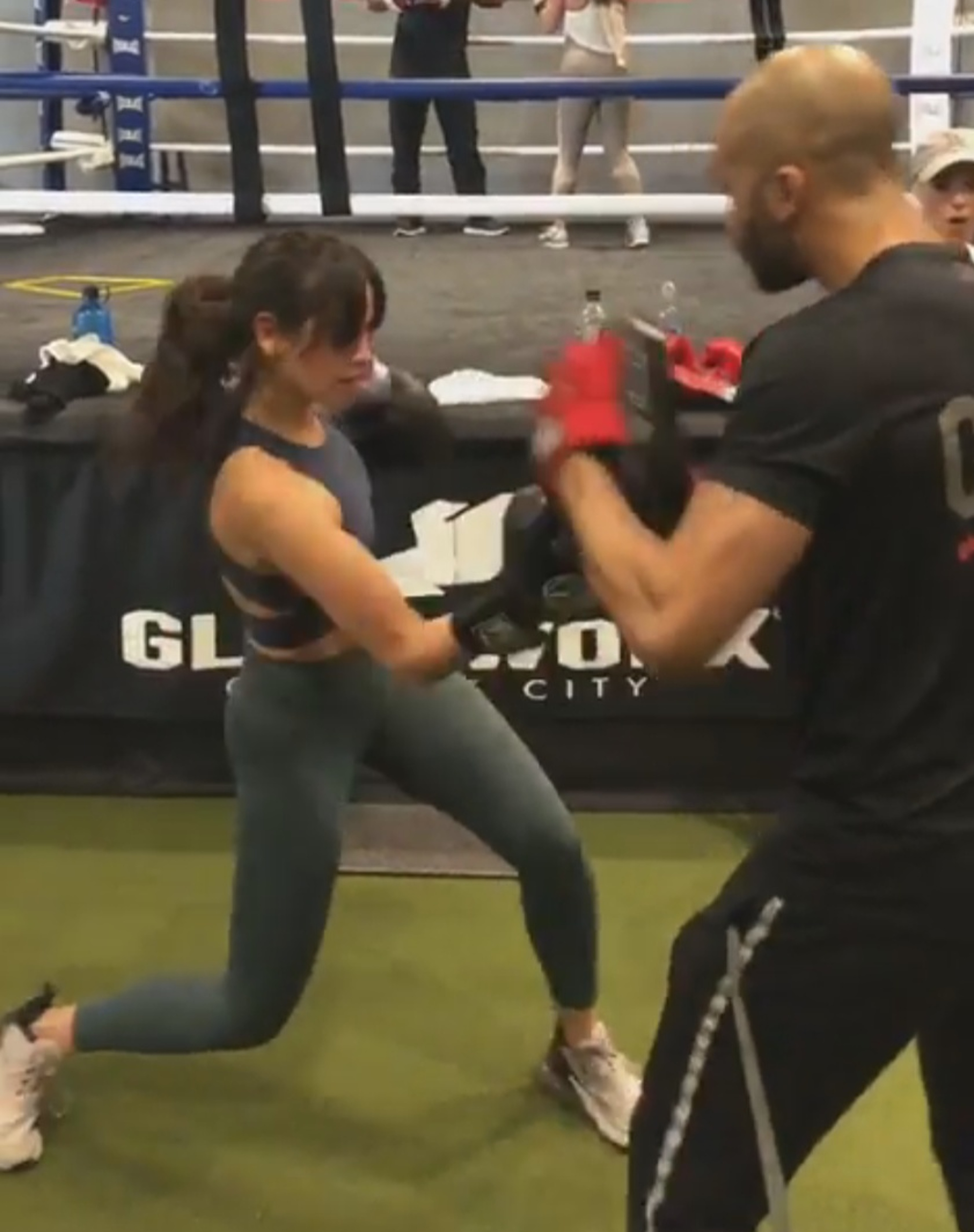 Read more about the article Sexy Fast And Furious Actress Shows Off Boxing Skills