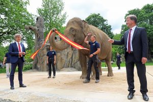 Read more about the article Europes 1st OAP Home Opened For Retired Circus Elephants