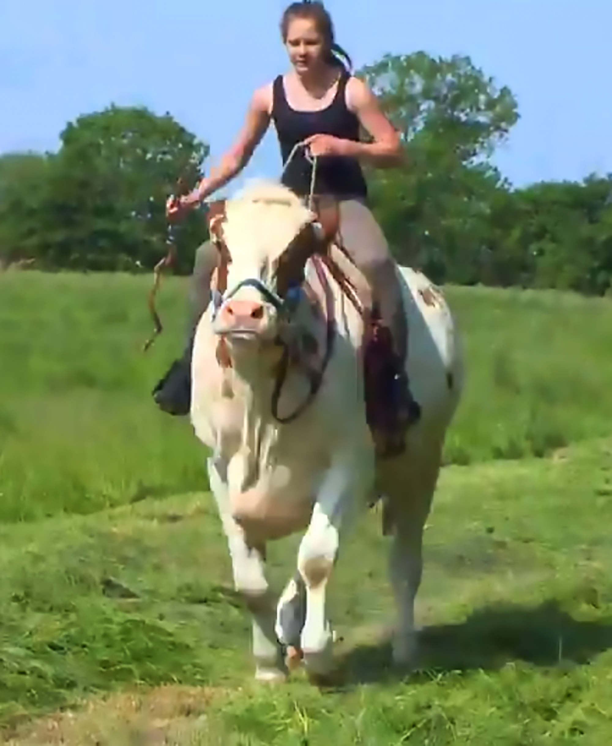 Read more about the article Teenage Cowgirl Trains Cow To Be Ridden Like Horse