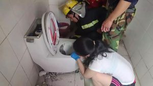 Read more about the article Fire Crew Smash Toilet To Free Woman With Hand Trapped
