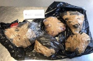 Read more about the article Brit Caught With 23 Kg Of Unfrozen Bushmeat At Customs