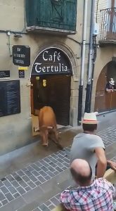 Read more about the article Cow Stops Off At Cafe During Spanish Bull Run