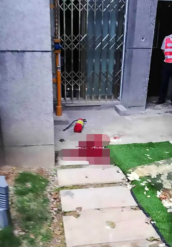 Boy 10 Drops Fire Extinguisher From