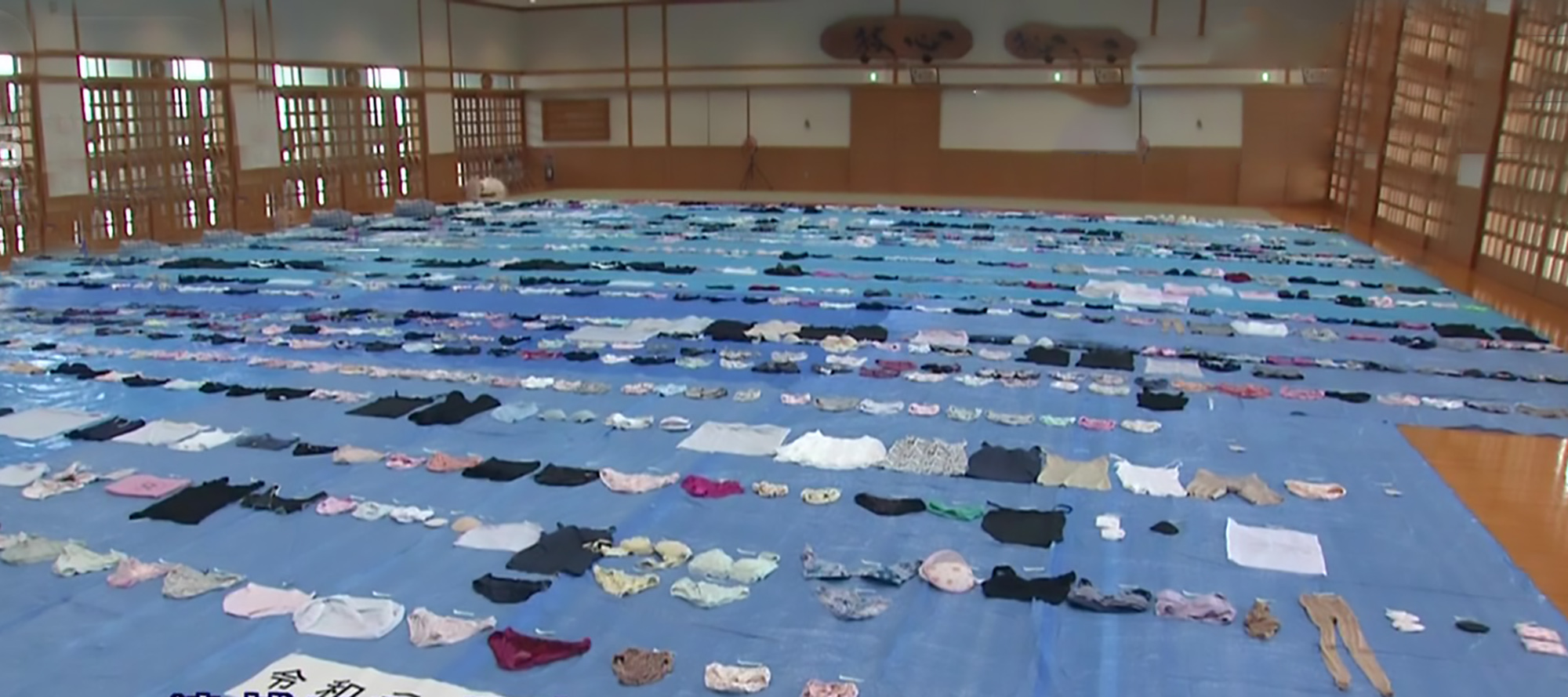 Read more about the article Cops Find 1,100 Knickers In Underwear Thiefs Home
