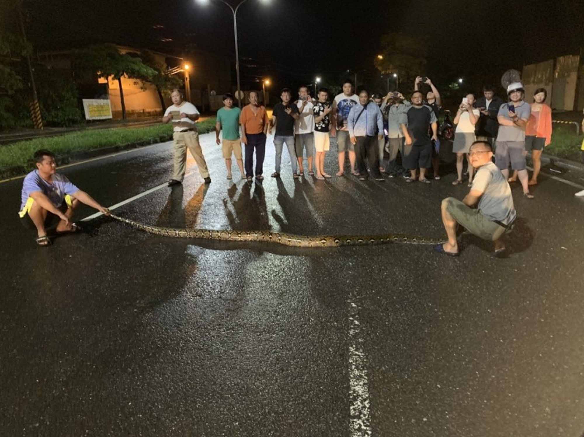 Read more about the article Man Catches Huge 10ft Python Trying To Bite Cars On Road