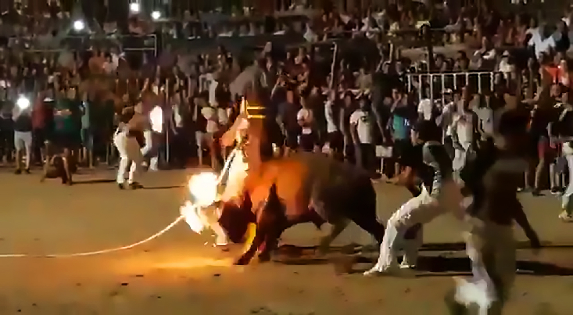 Read more about the article Moment Bull Is Set On Fire In Spanish Festival