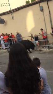 Read more about the article Rampant Bull Gores Mans Testicles During Spain Festival