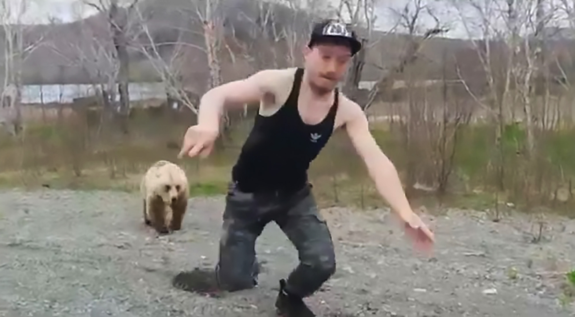 Read more about the article Charging Bear Sends Baseball Hat Man In Vest Top Running