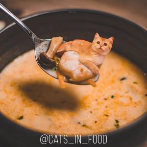 Read more about the article Weird Russia Artist Mixes Cats With Food For Online Fame