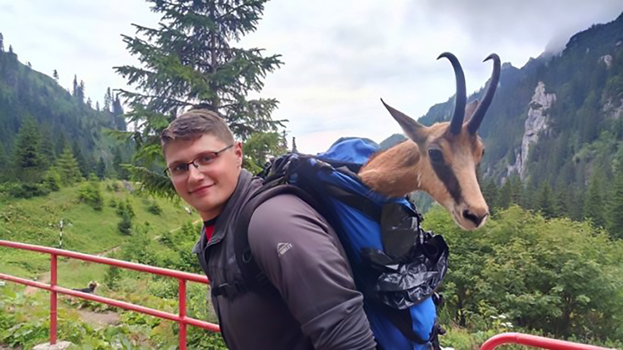 Read more about the article Big-Hearted Hiker Carries Injured Goat In His Backpack
