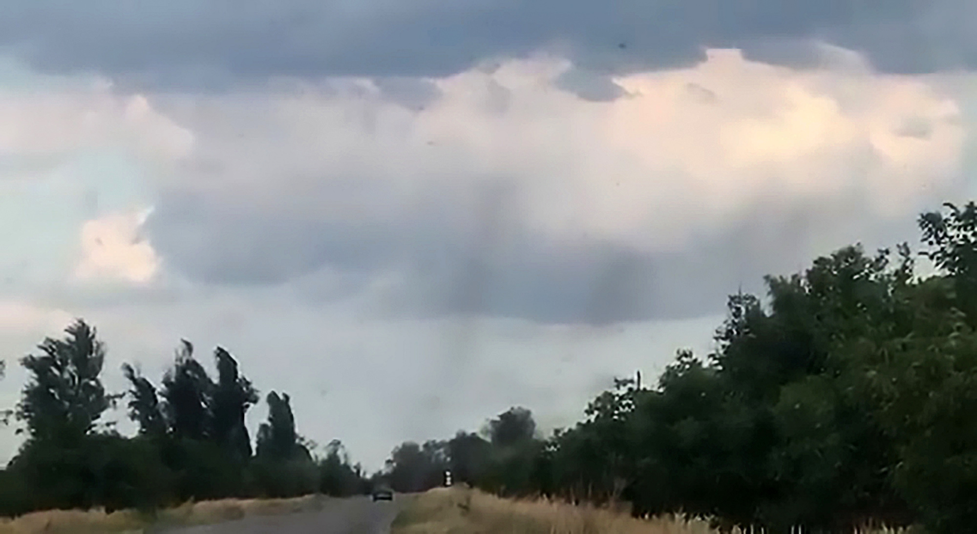 Read more about the article Tornado Of Flying Ants Filmed After Hot Weather