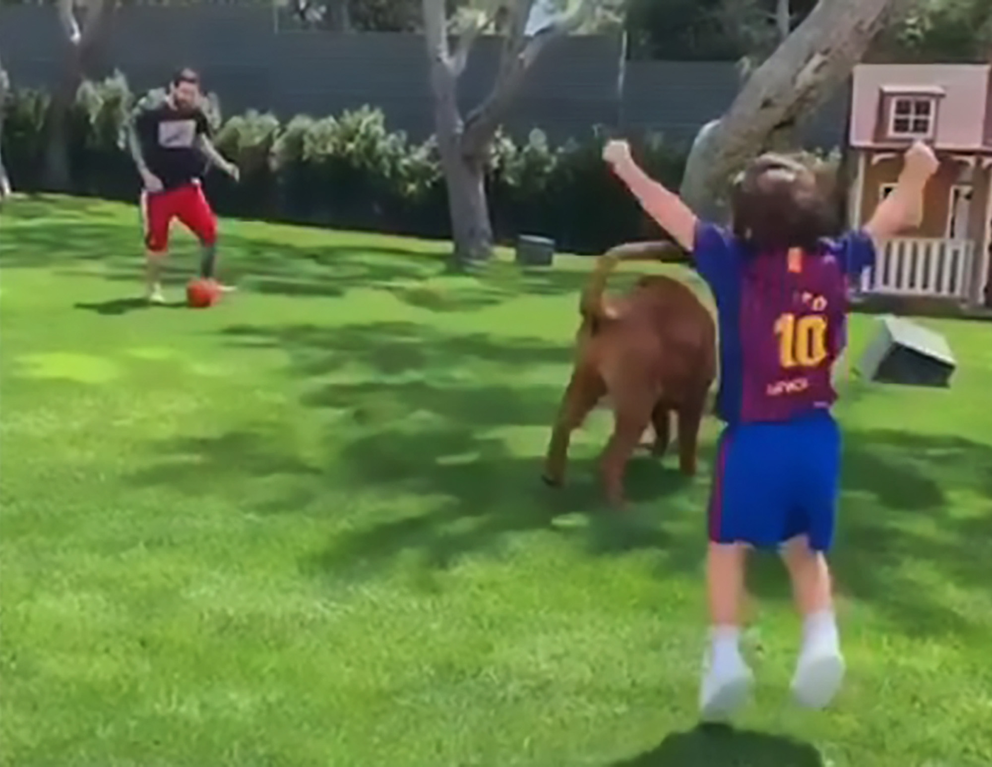 Read more about the article Messi Plays Football With Sons And Dog In Garden