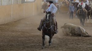 Read more about the article Animals Beaten And Zapped During Cruel Mexican Rodeo