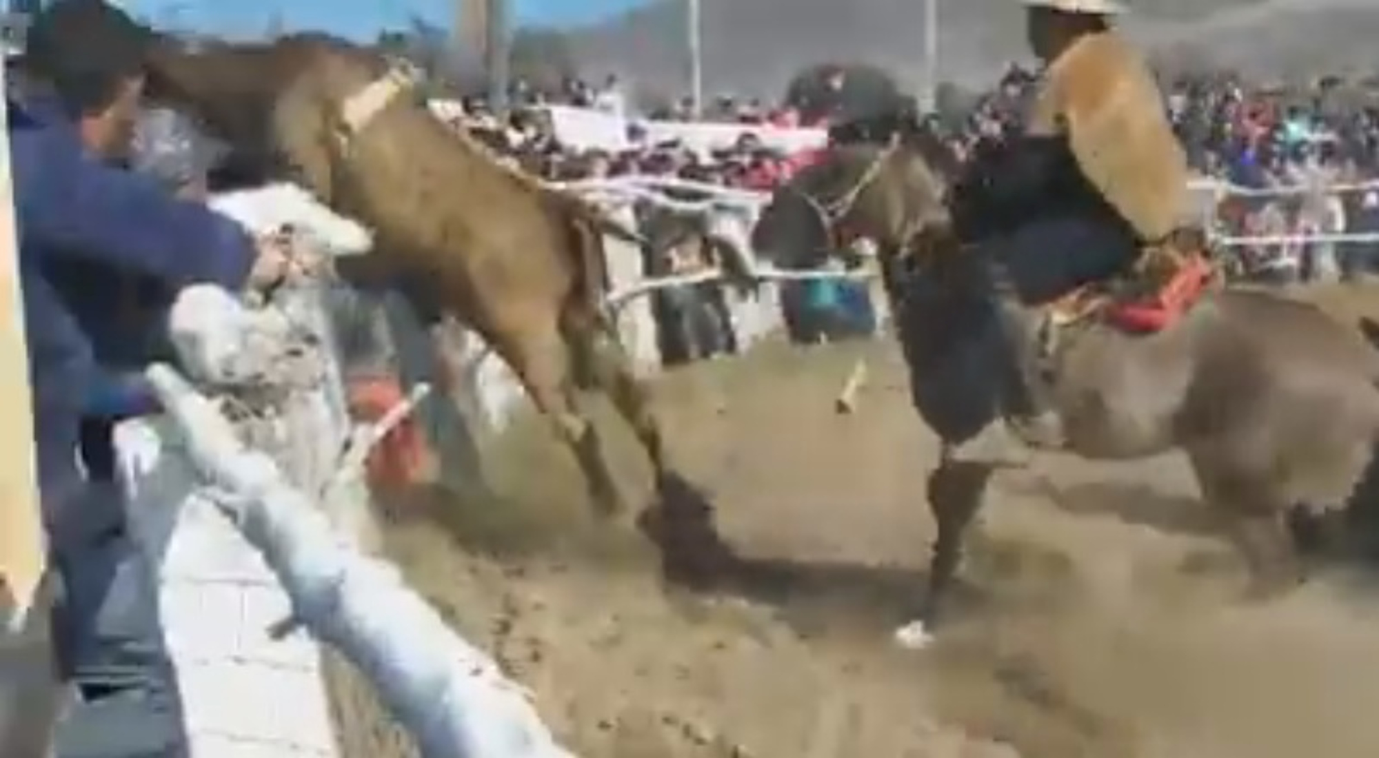 Read more about the article Bull Jumps Over Fence Into Packed Crowd And Injures 10