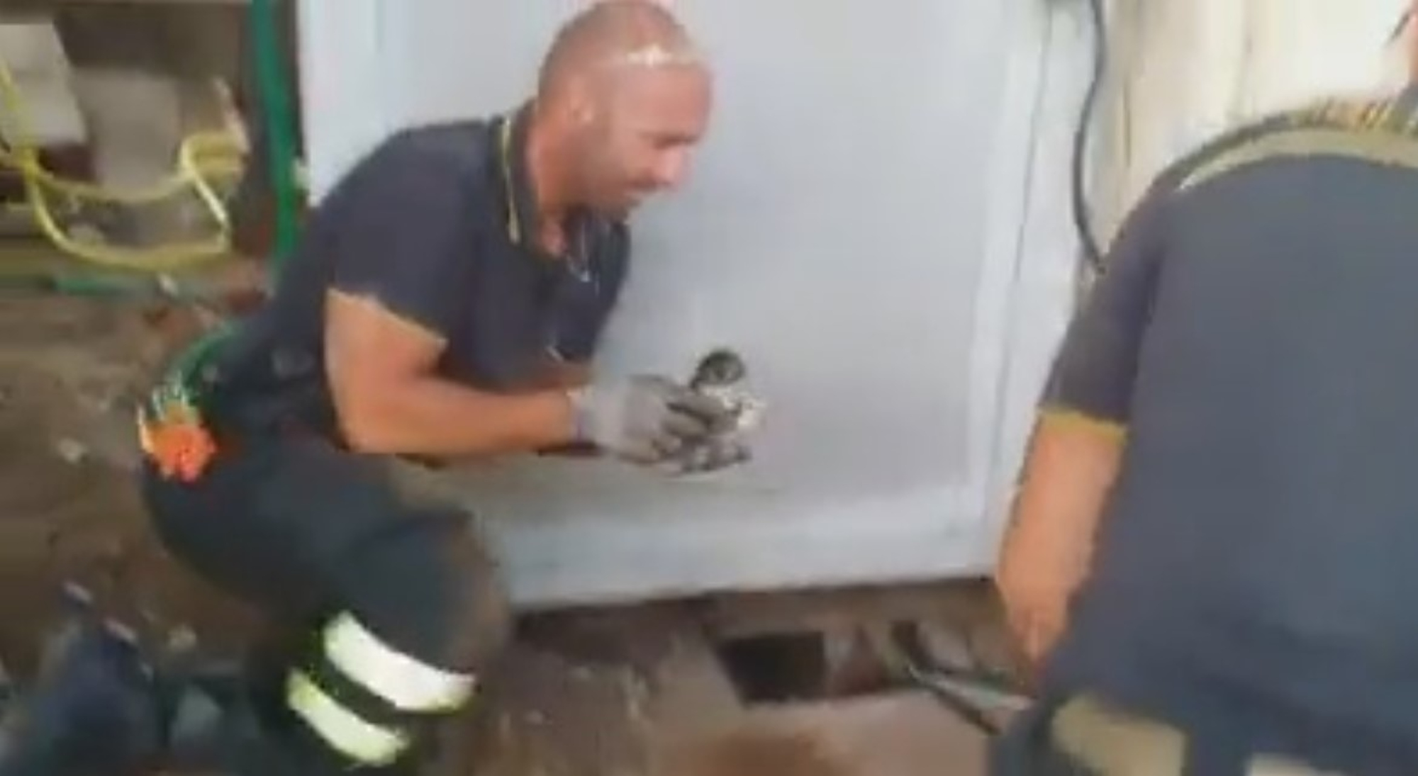 Read more about the article Viral: Tough Firefighter Cries After Rescuing Kitten