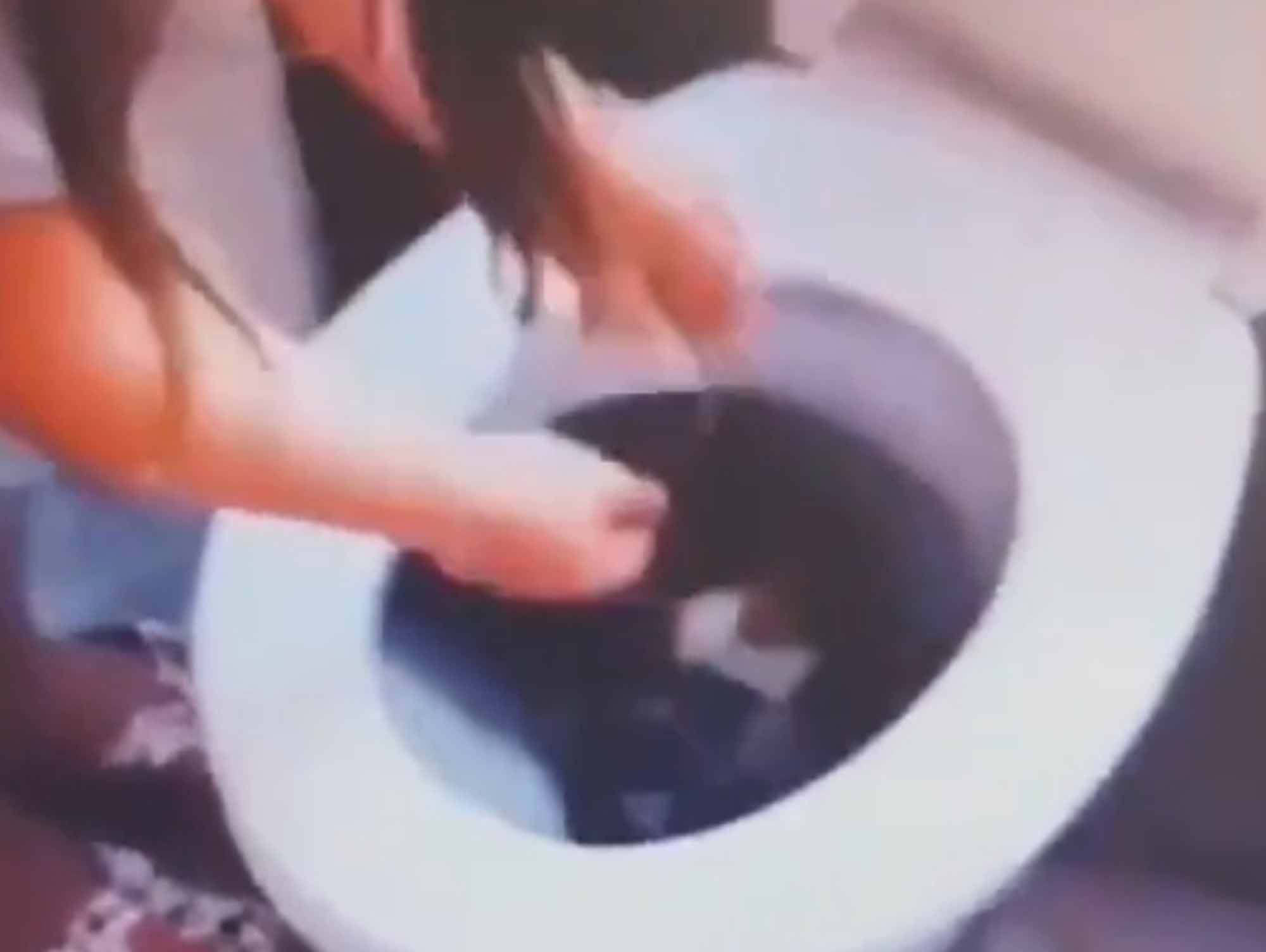 Read more about the article Cruel Laughing Girl Tries Flushing Kitten Down Toilet