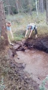 Read more about the article Hunters Rescue Huge Stag Trapped In Forest Bog