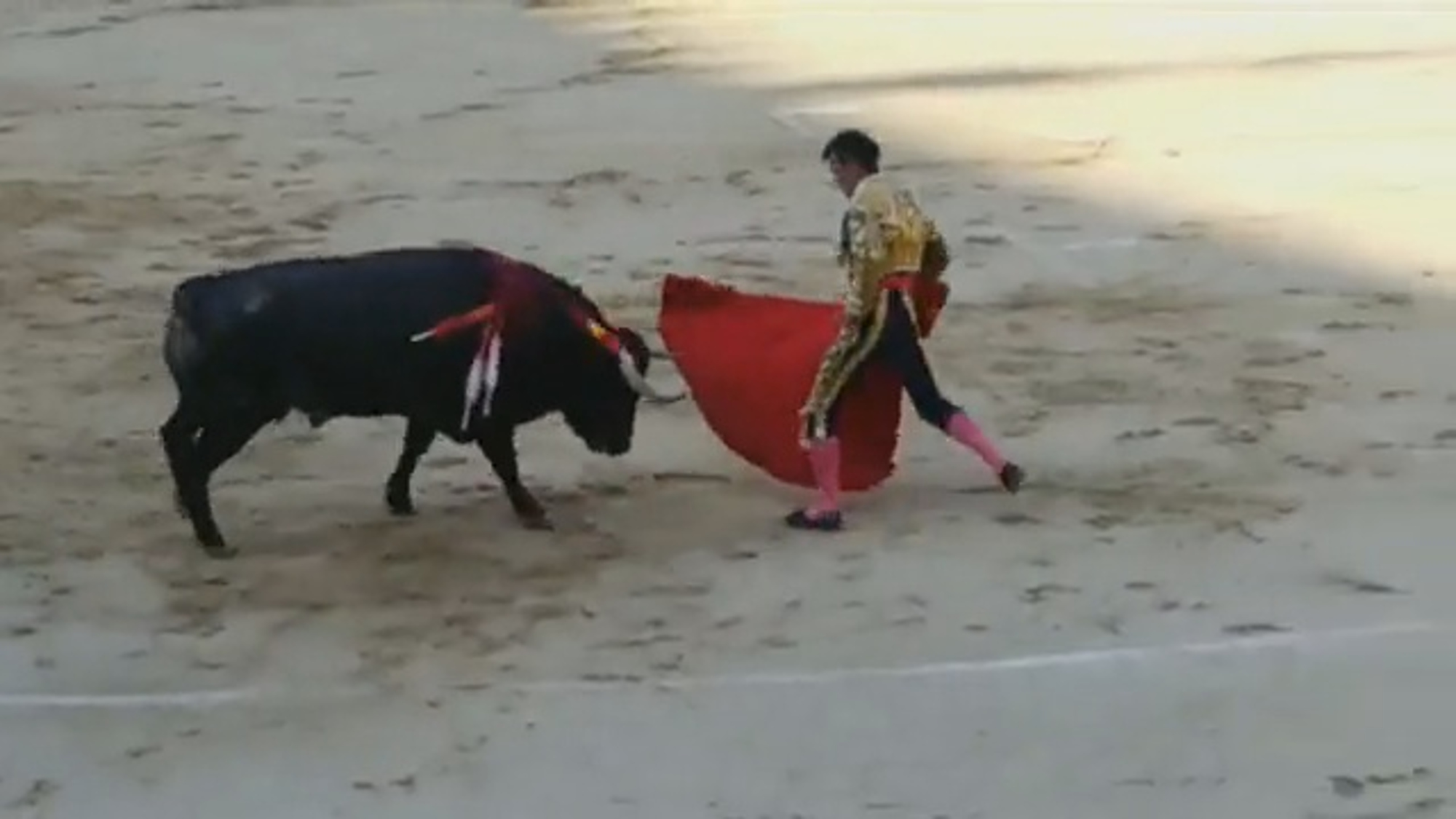 Read more about the article Matador Gored In Leg Receives 25cm Gash In Bullfight
