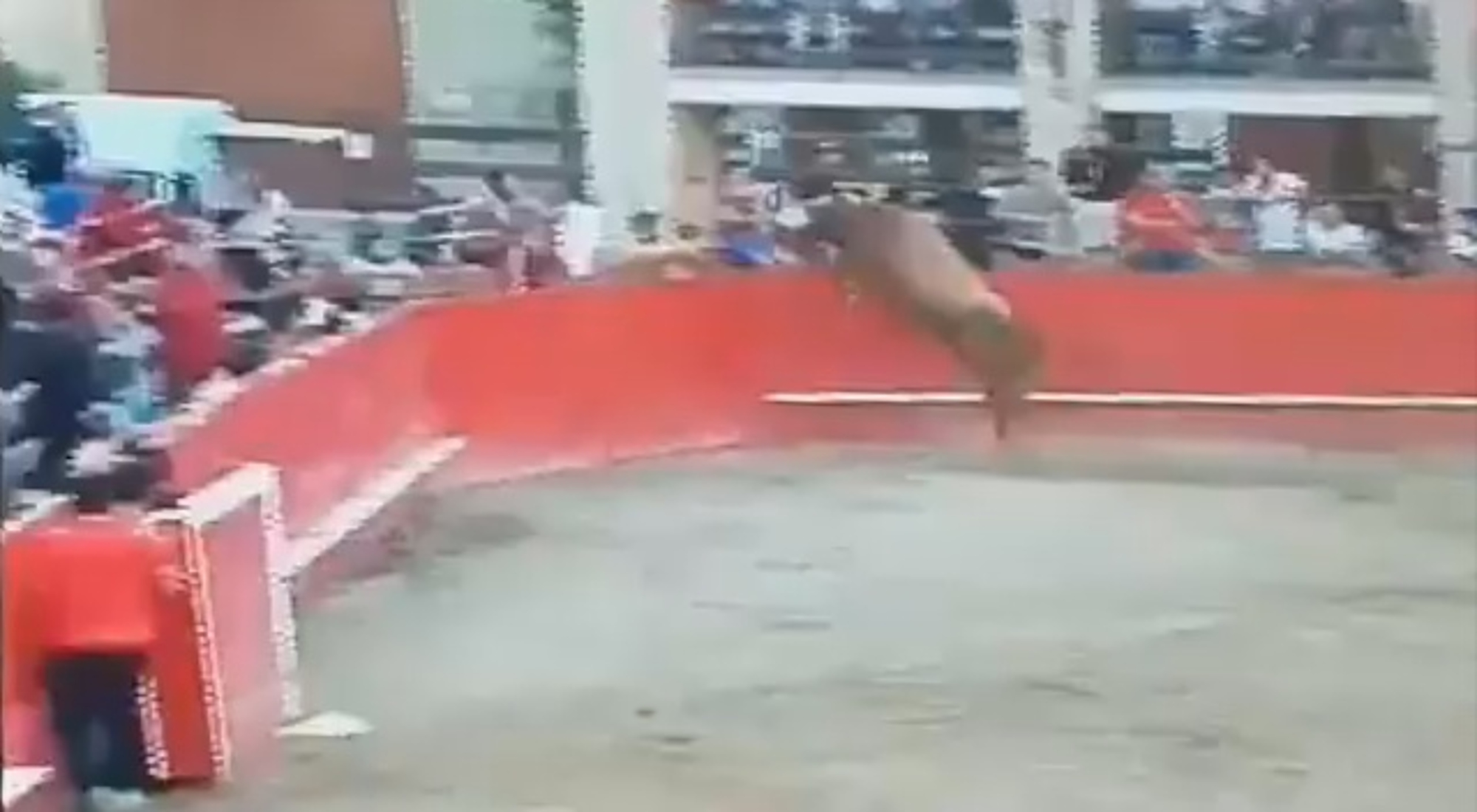 Read more about the article Bull Leaps Over Ring Wall Into Screaming Spectators
