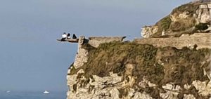 Read more about the article Girls Caught Risking Lives For Selfies On Cliff Edge