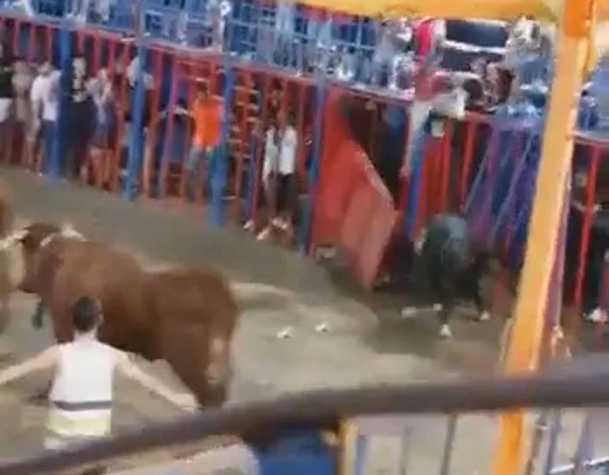 Read more about the article 12yo Boy Hit By Spanish Bull After Falling Into Pen
