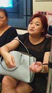 Read more about the article Woman Pulls Passenger From Train Seat By Hair