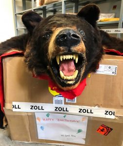 Read more about the article Bear Head Sent To Bday Kid In Box Labelled Teddy Bear
