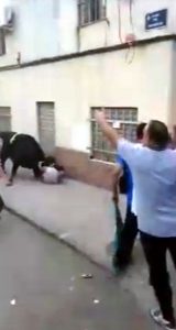 Read more about the article Bull Pins Man To Wall And Gores Him At Spain Festival